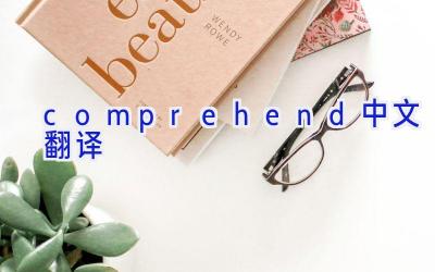 comprehend中文翻译