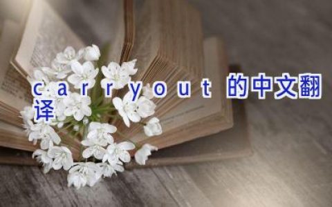 carry out的中文翻译