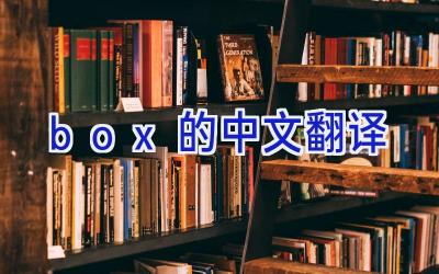 box的中文翻译