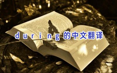 during的中文翻译