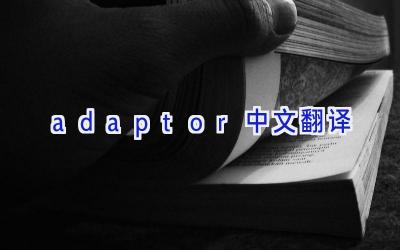 adaptor中文翻译