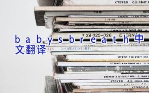 babysbreath中文翻译
