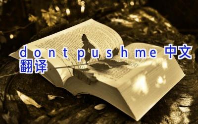 dontpushme中文翻译