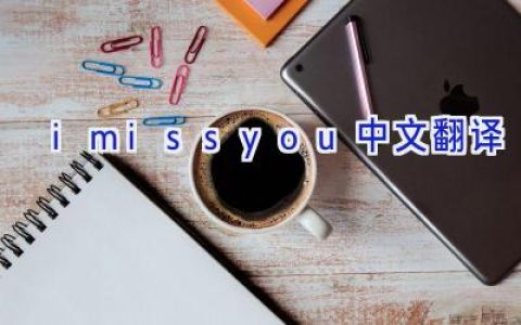 imissyou中文翻译