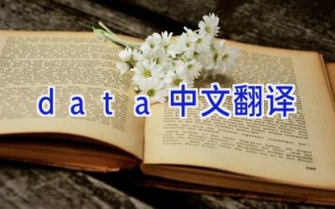 data中文翻译