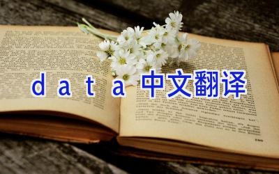 data中文翻译