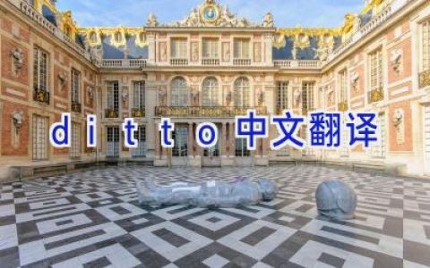 ditto中文翻译