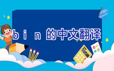 bin的中文翻译