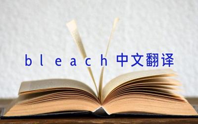 bleach中文翻译