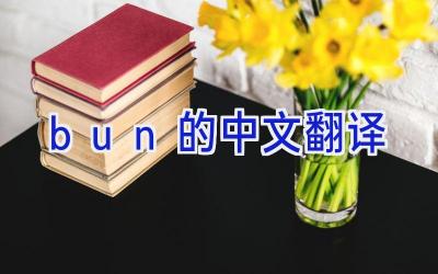bun的中文翻译