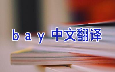 bay中文翻译