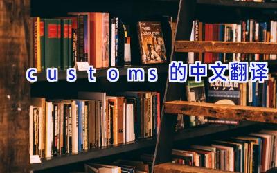 customs的中文翻译