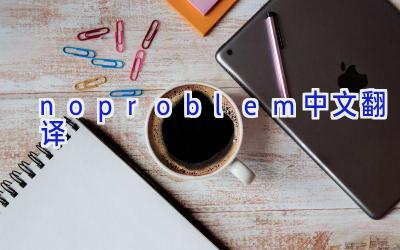noproblem中文翻译