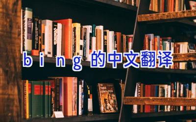 bing的中文翻译