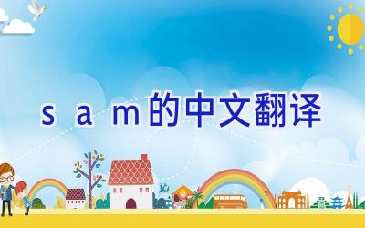 sam的中文翻译