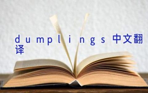 dumplings中文翻译
