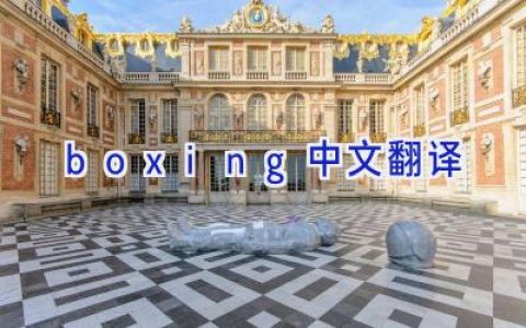 boxing中文翻译