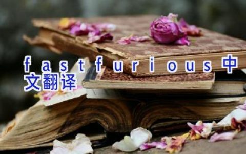 fastfurious中文翻译